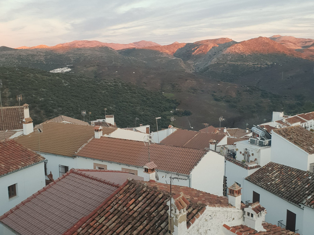 Hotel Los Castanos主图