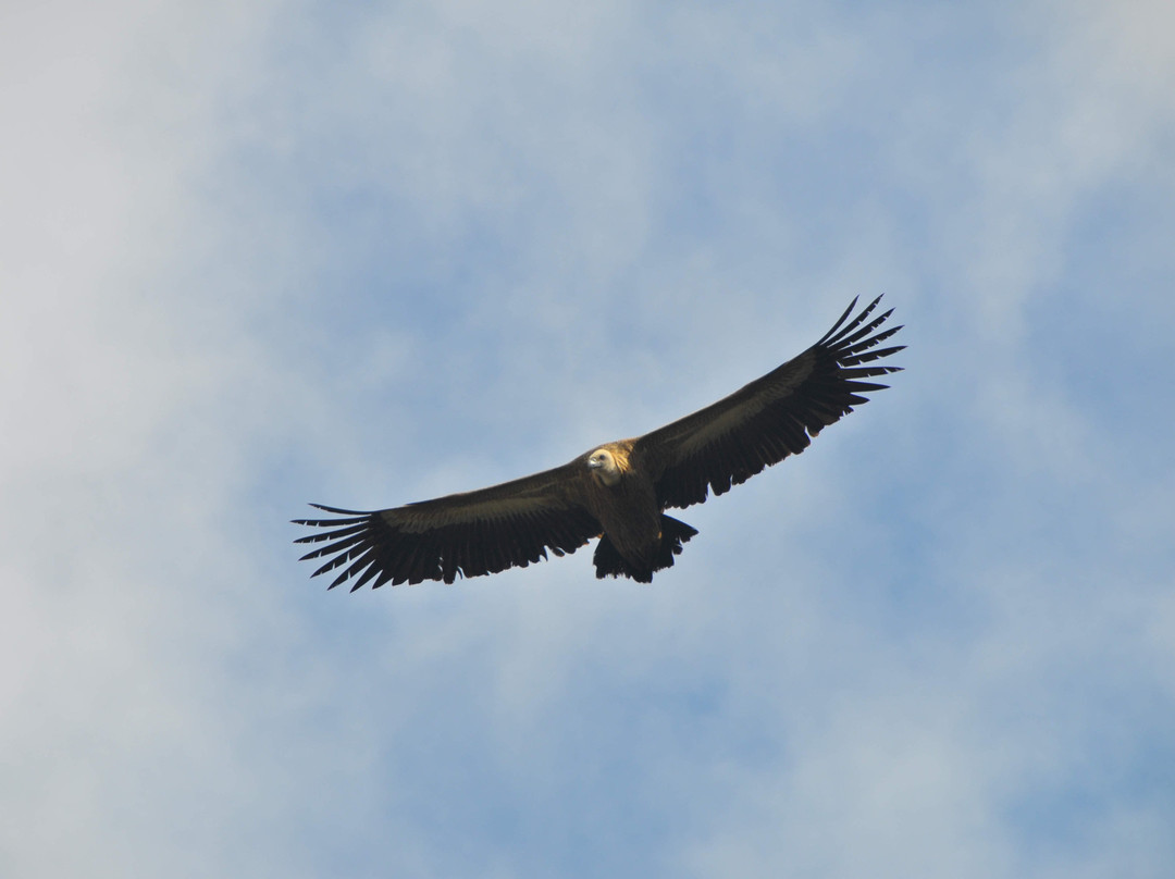 See You Soon Travel-Vryses必去景点