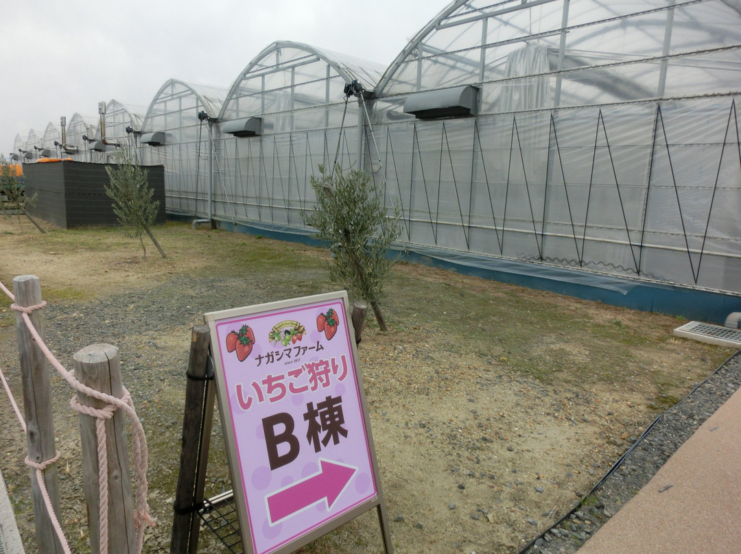 Nagashima Farm-桑名市必去景点