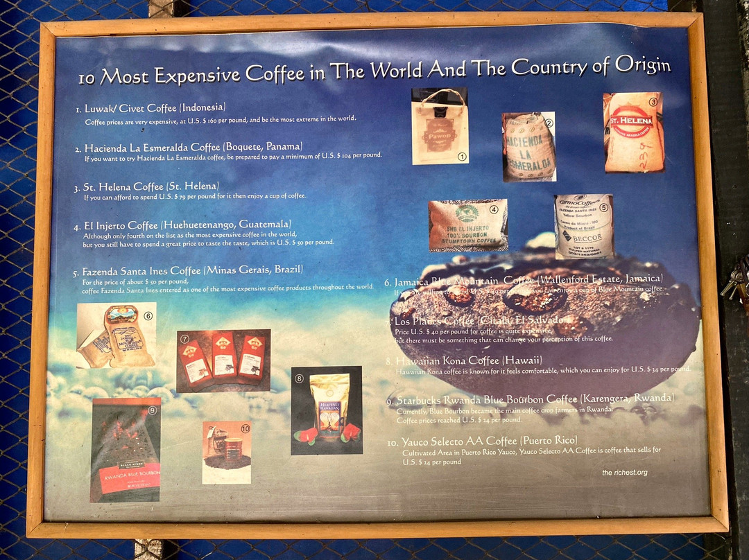 Pawon Luwak Coffee-Borobudur必去景点