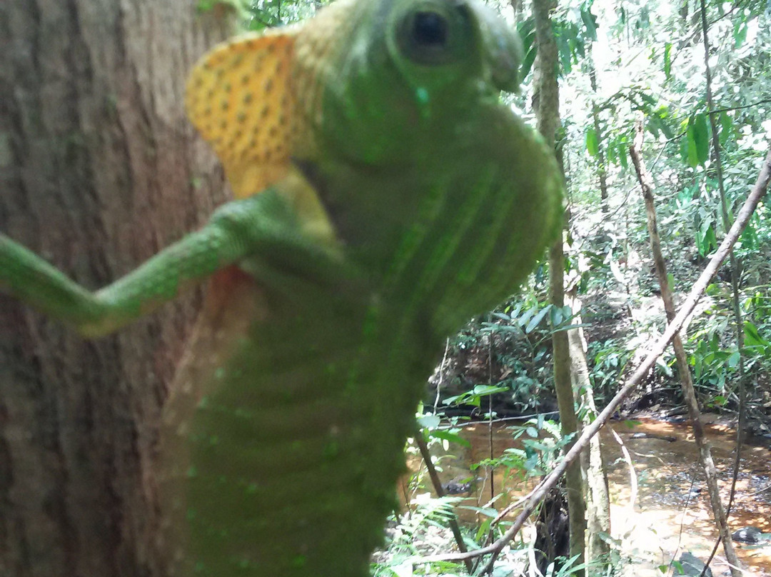 Day Tours Sri Lanka-班托塔必去景点