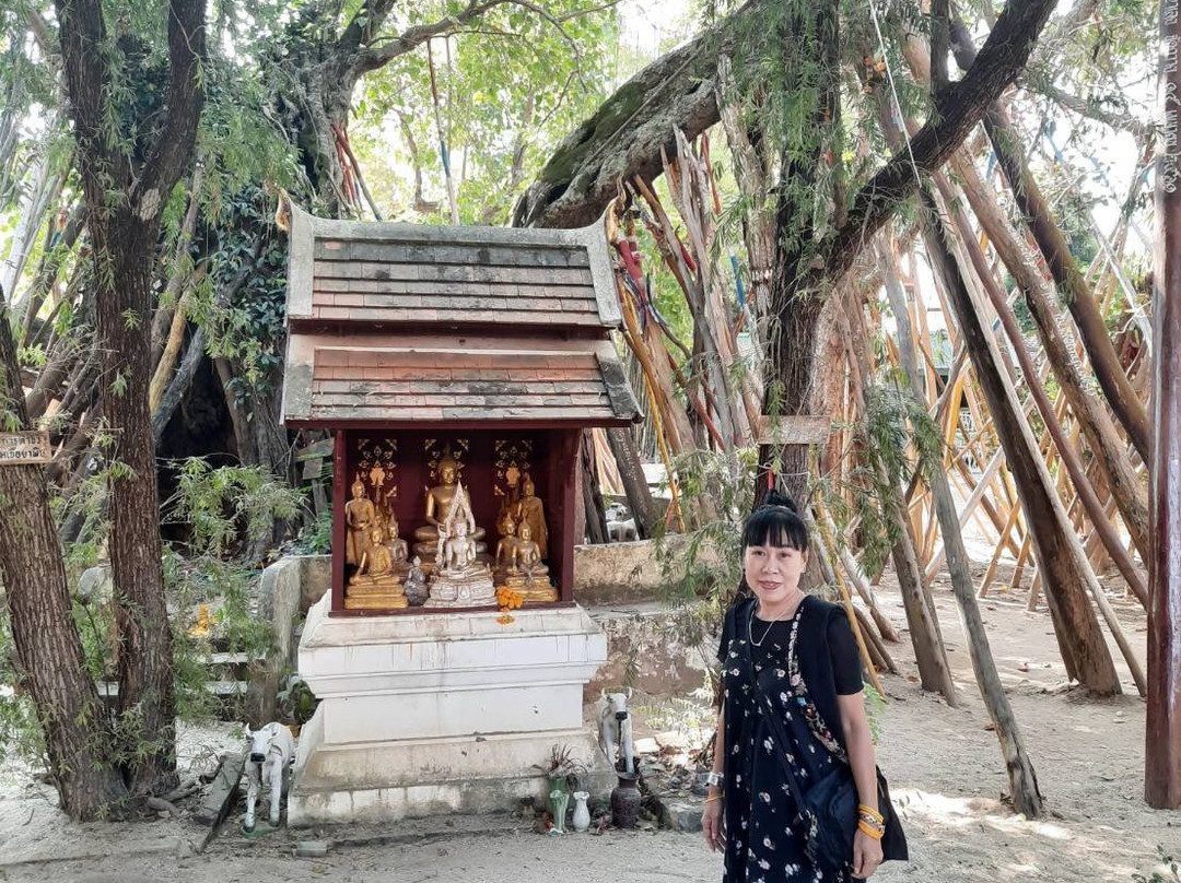 南邦舍利寺-南邦必去景点