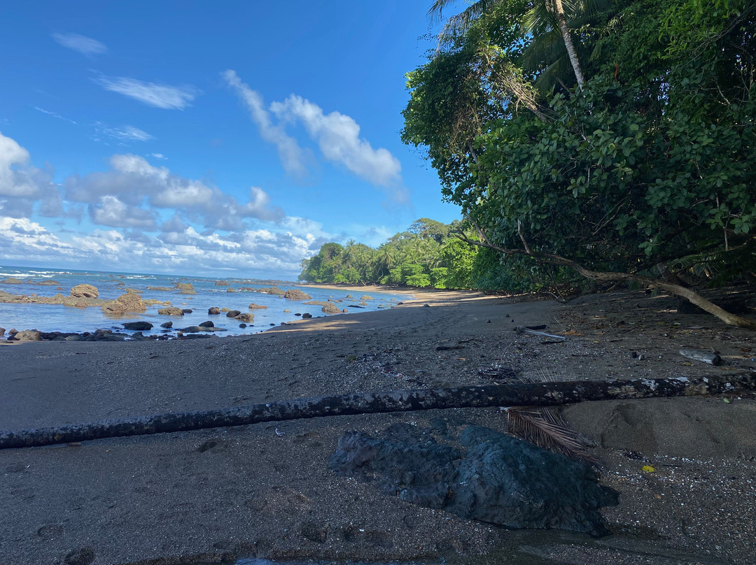 Drake Bay Wilderness Resort主图