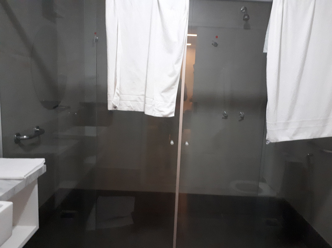 宜必思尚品蓬塔波朗酒店主图