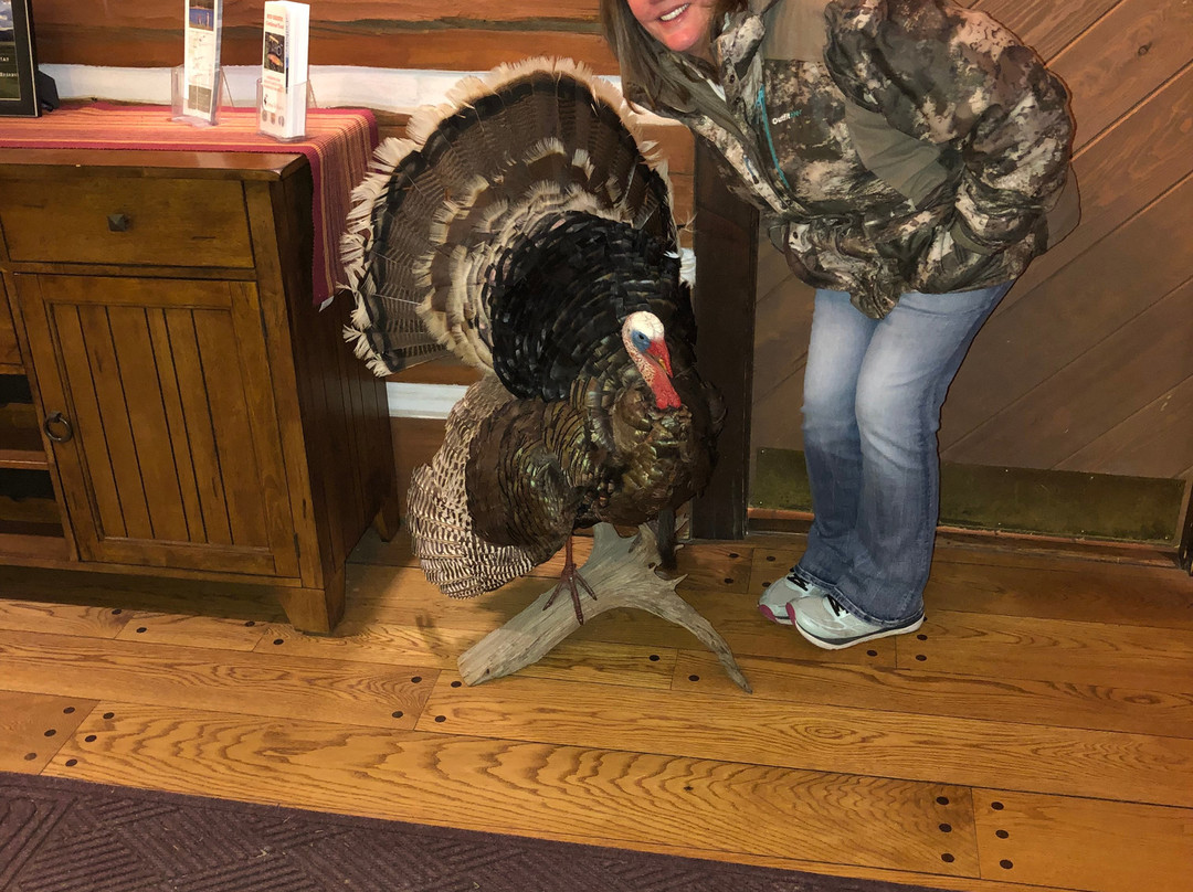 Vermejo, A Ted Turner Reserve主图