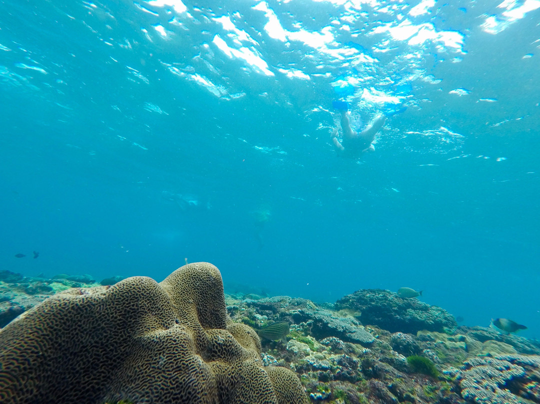 Bluelagoon Paradise Adventure-努沙切宁安岛必去景点