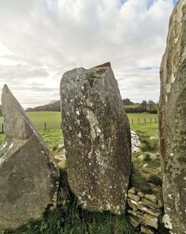 Cairnholy Chambered Cairns Ravenshall景点图片