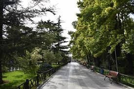 Mellat Park-德黑兰必去景点