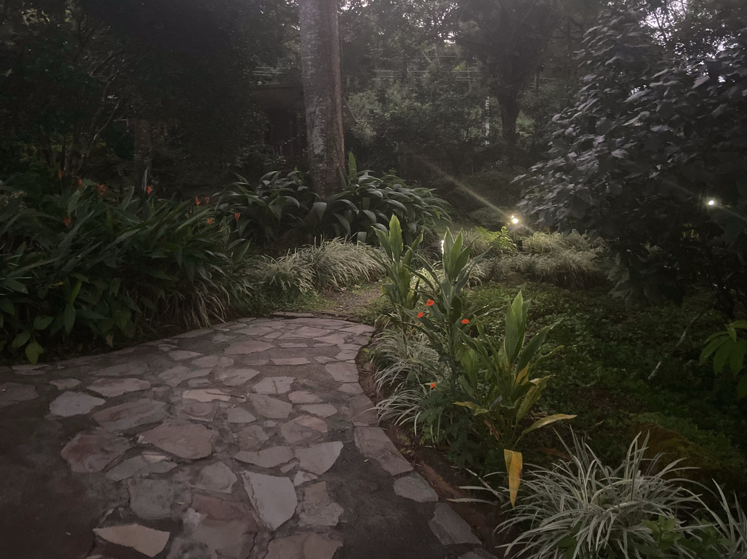 Amatierra Retreat and Wellness Center主图