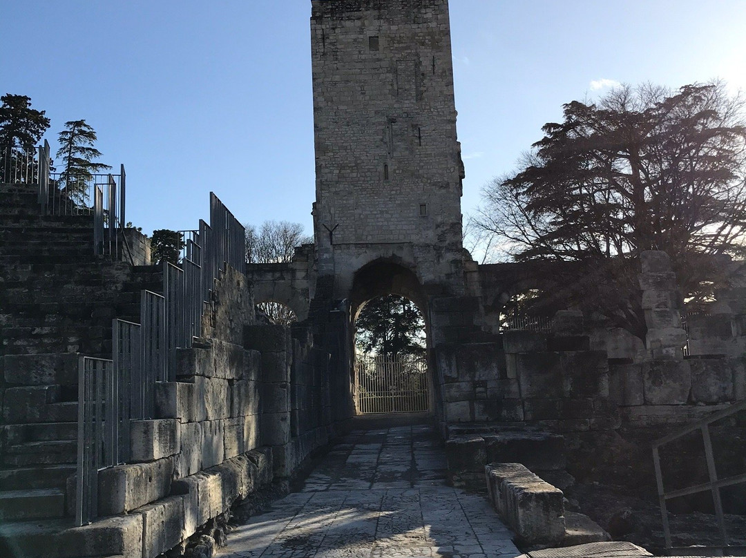 Office du Tourisme Arles Camargue-阿尔勒必去景点