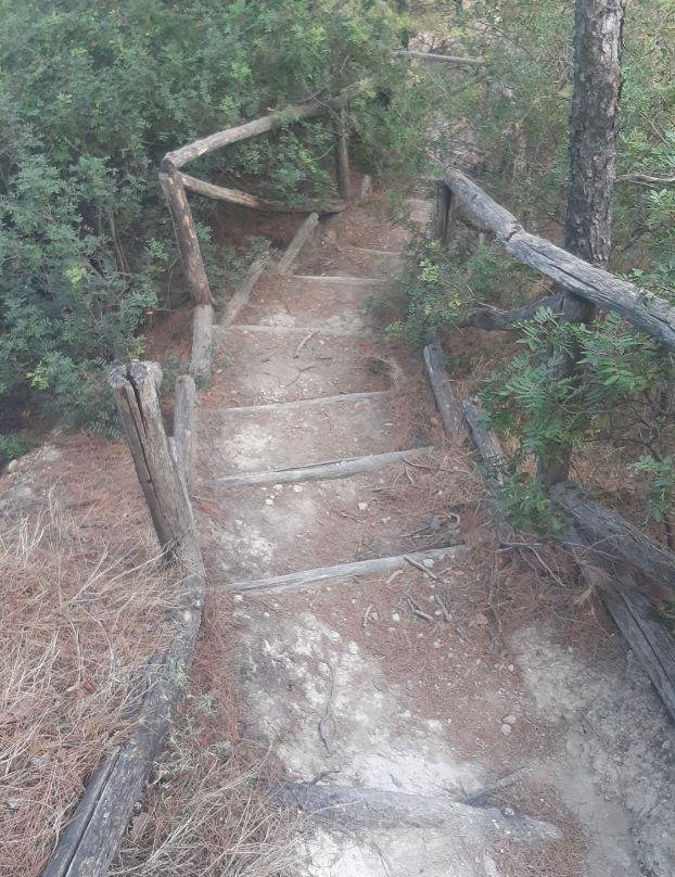 德律阿德斯酒店主图