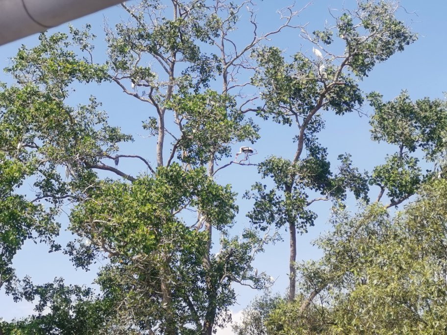 Wave Rest House & Cafe主图