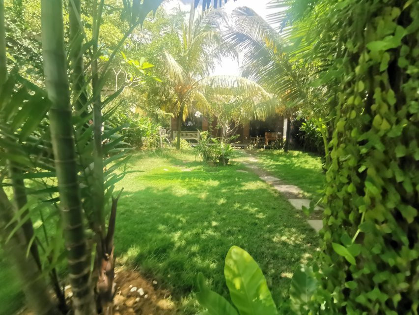 Wave Rest House & Cafe主图