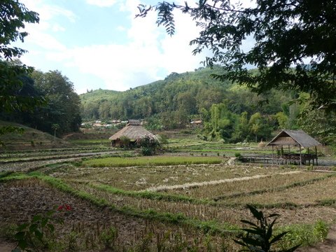 卡姆旅馆-官方