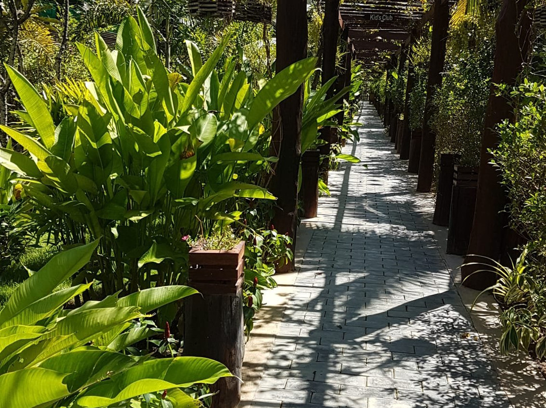 BB Angkor Green Resort主图