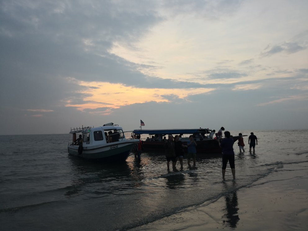 Sea Lion Firefly Concept Hotel主图