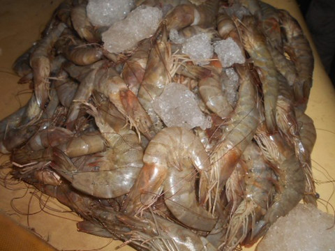 Sandaga Market-达喀尔必去景点