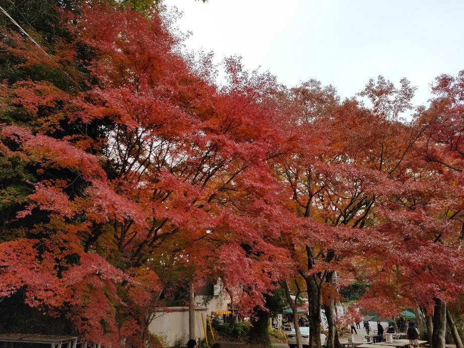 Ohira Moutain-栃木市必去景点