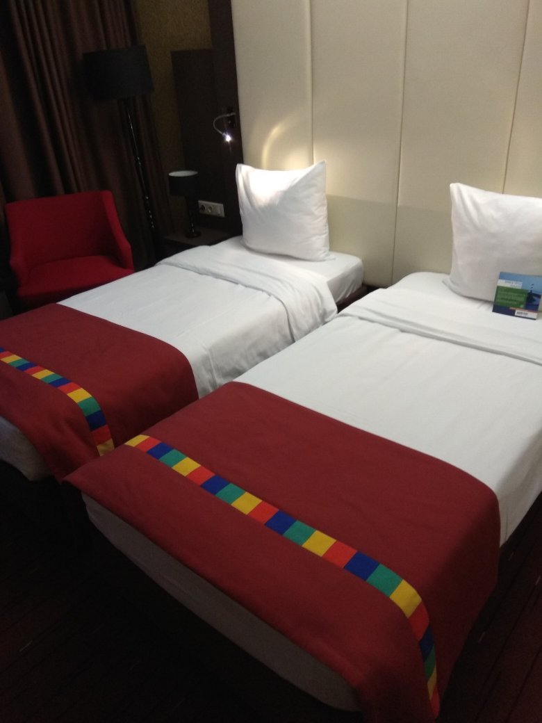 Park Inn by Radisson Odintsovo Moscow-官方