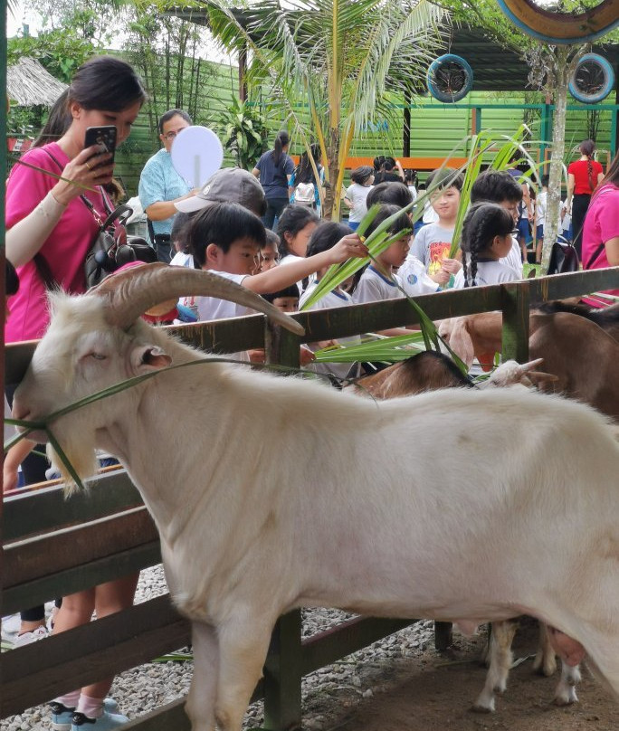 BSL Ecofarm-Ayer Hitam必去景点