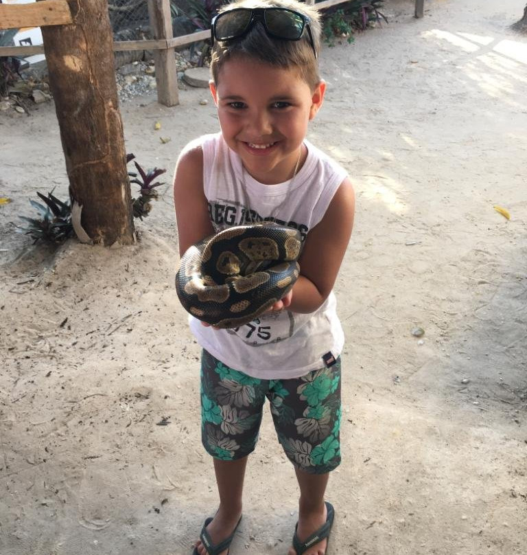 Zoologico Pet Silvestre - Maragogi-Maragogi必去景点