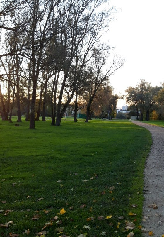 Parc de Brieux景点图片