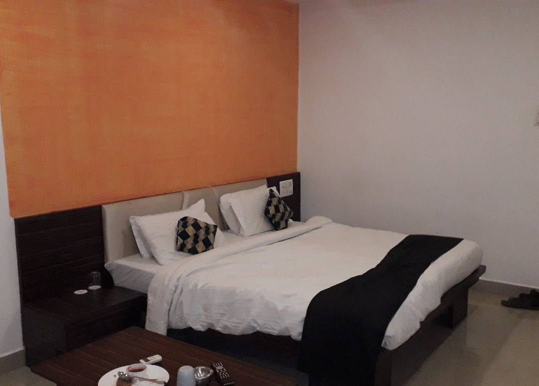 Hotel Balaji Central主图