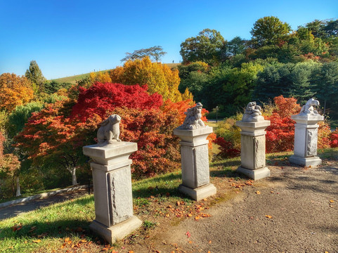 首尔奥林匹克花园酒店主图