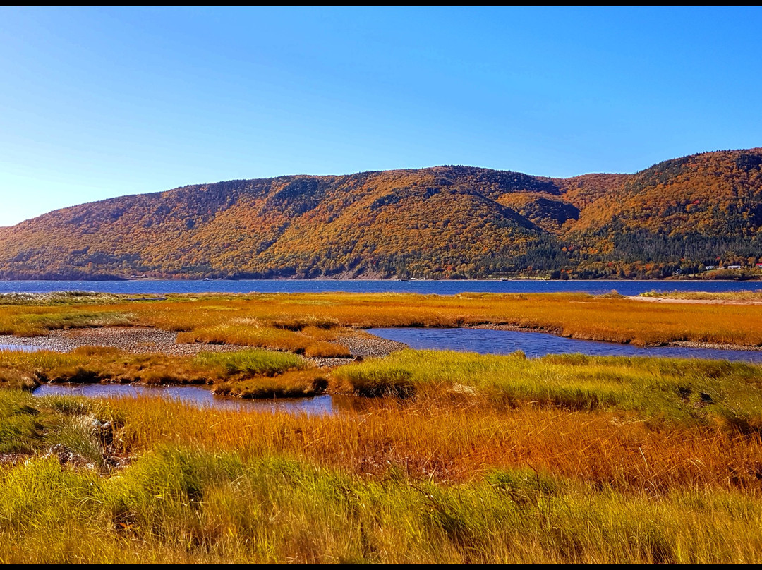 Expedition Travel & Tours景点图片