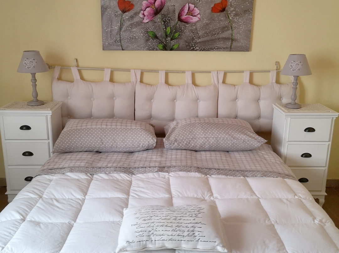 B&B Il Giardino da Pina主图
