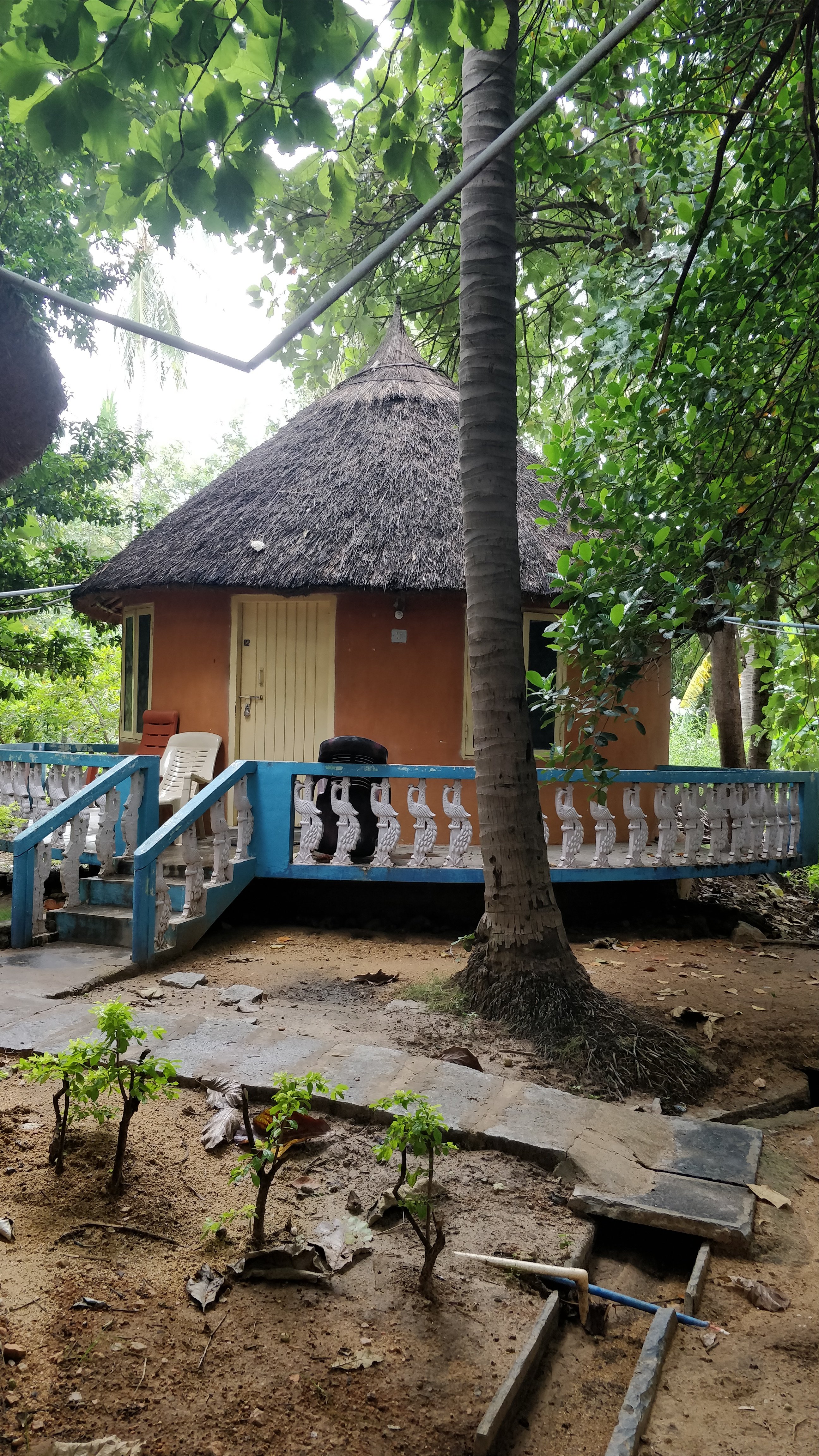 Sunny Guest House-portrait