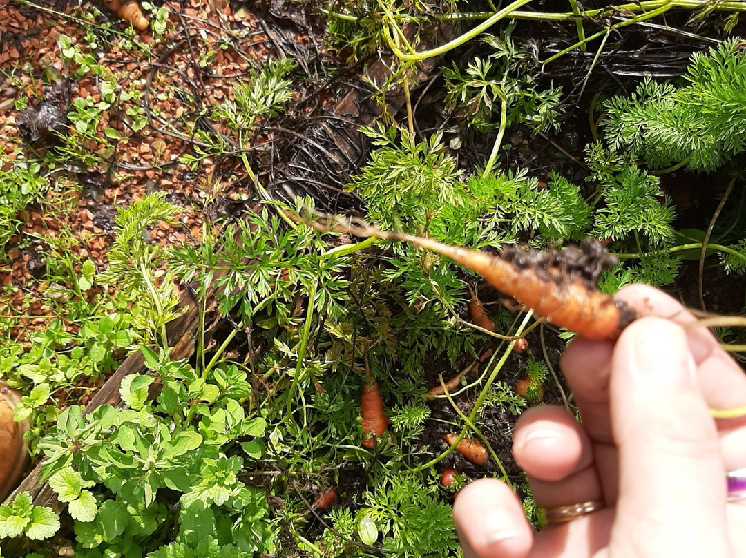 Parque de Los Sentidos-Noain必去景点