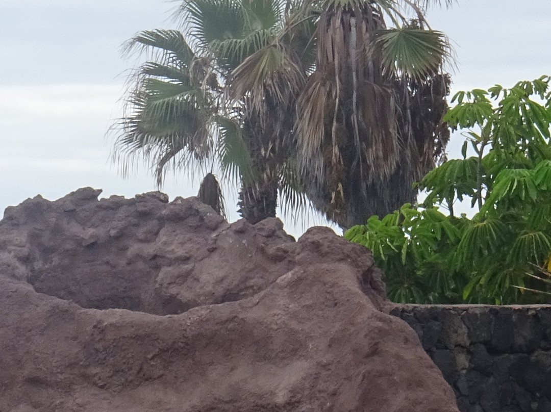Parque Infantil de Playa Jardín景点图片