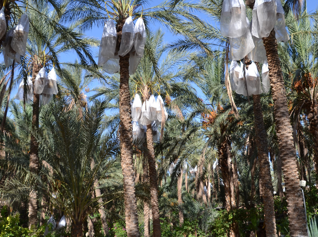 Autre Tunisie Day Tours-Houmt Souk必去景点