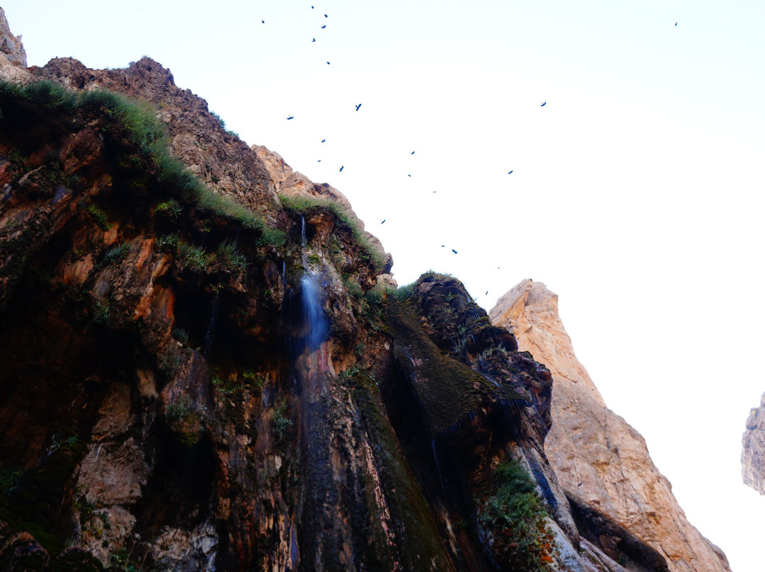 Margoon Waterfall-Shiraz必去景点
