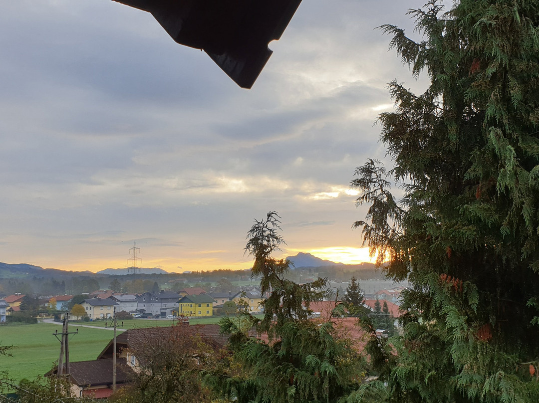 Landgasthof Holznerwirt主图
