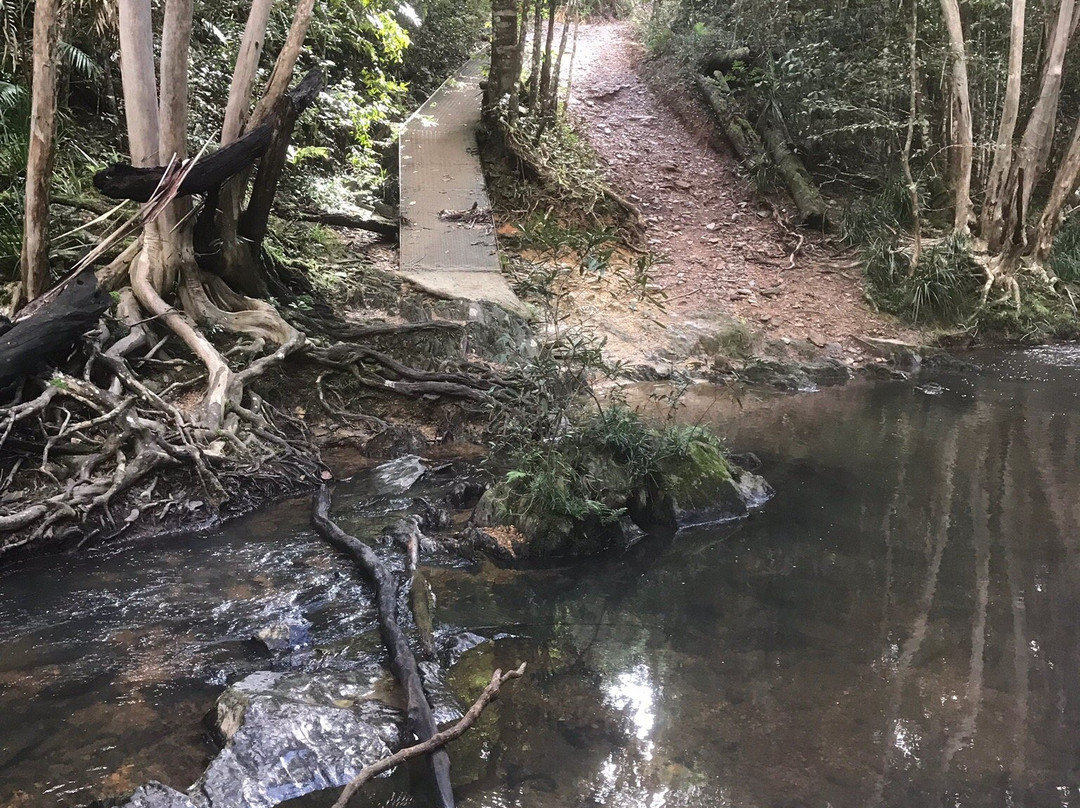 The Bump Track-Mowbray必去景点