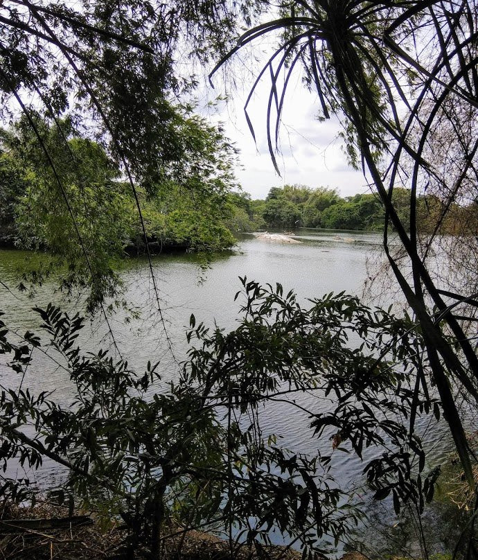 Ranganathittu Bird Sanctuary景点图片
