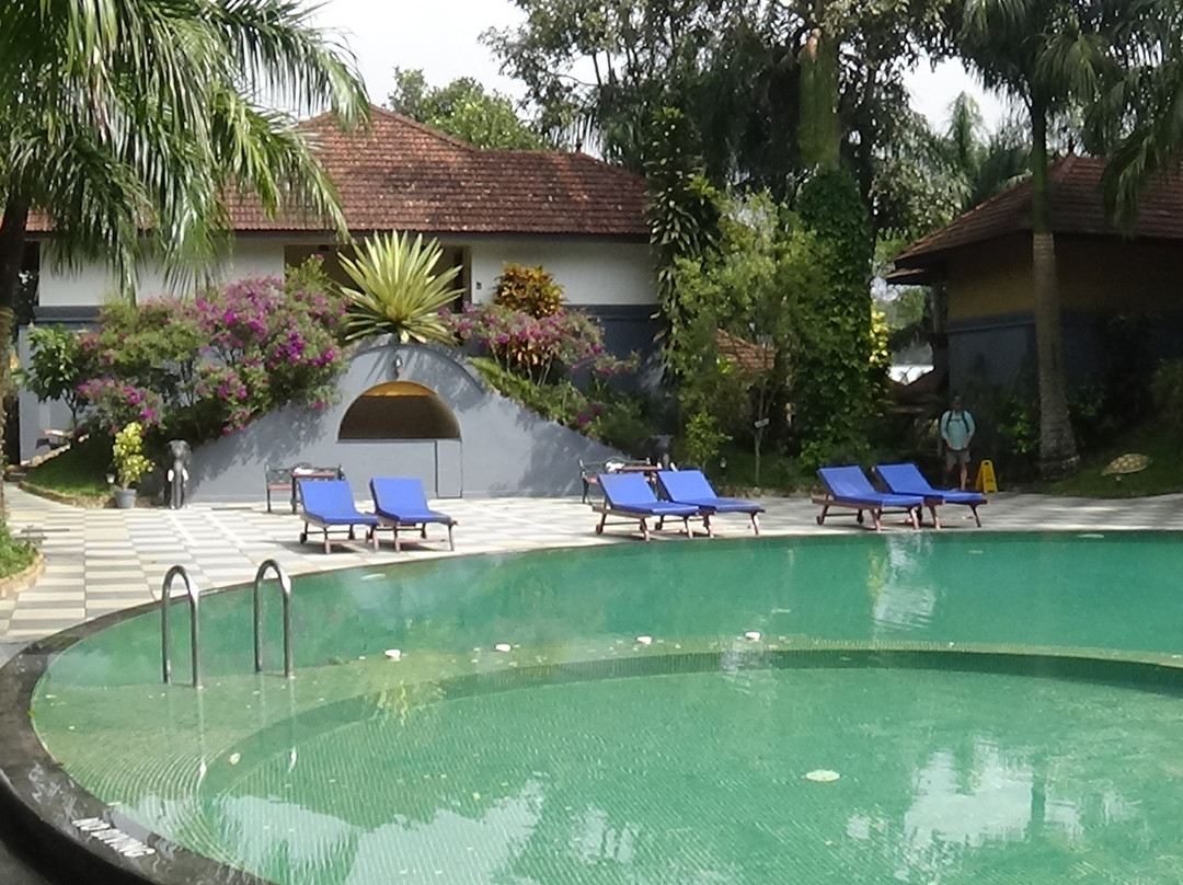 The Elephant Court主图