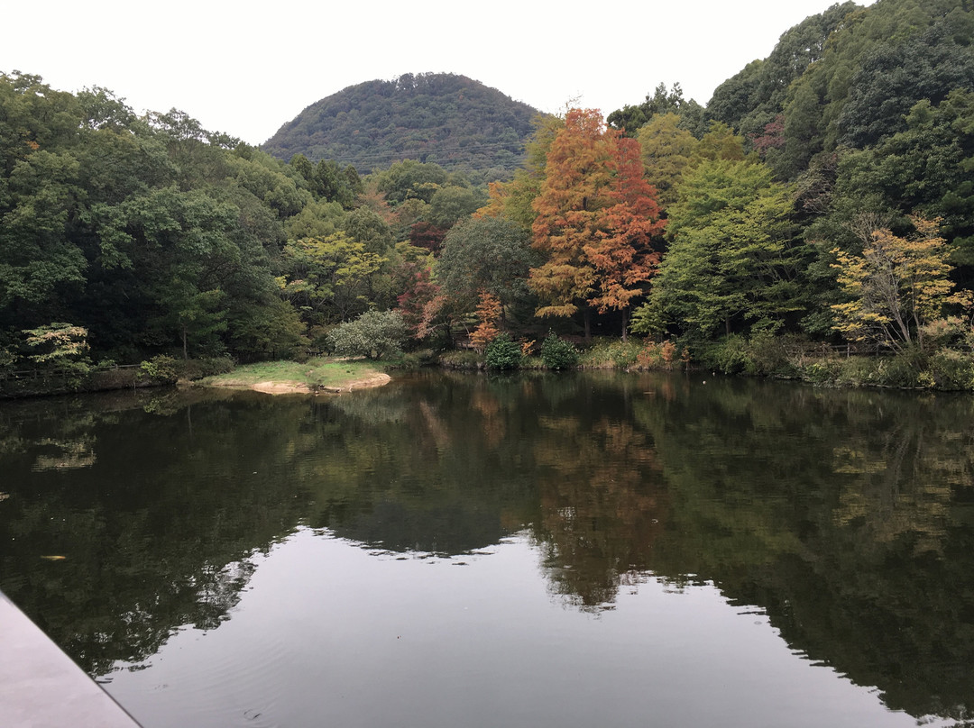 Kabutoyama Shinrin Park-西宫市必去景点