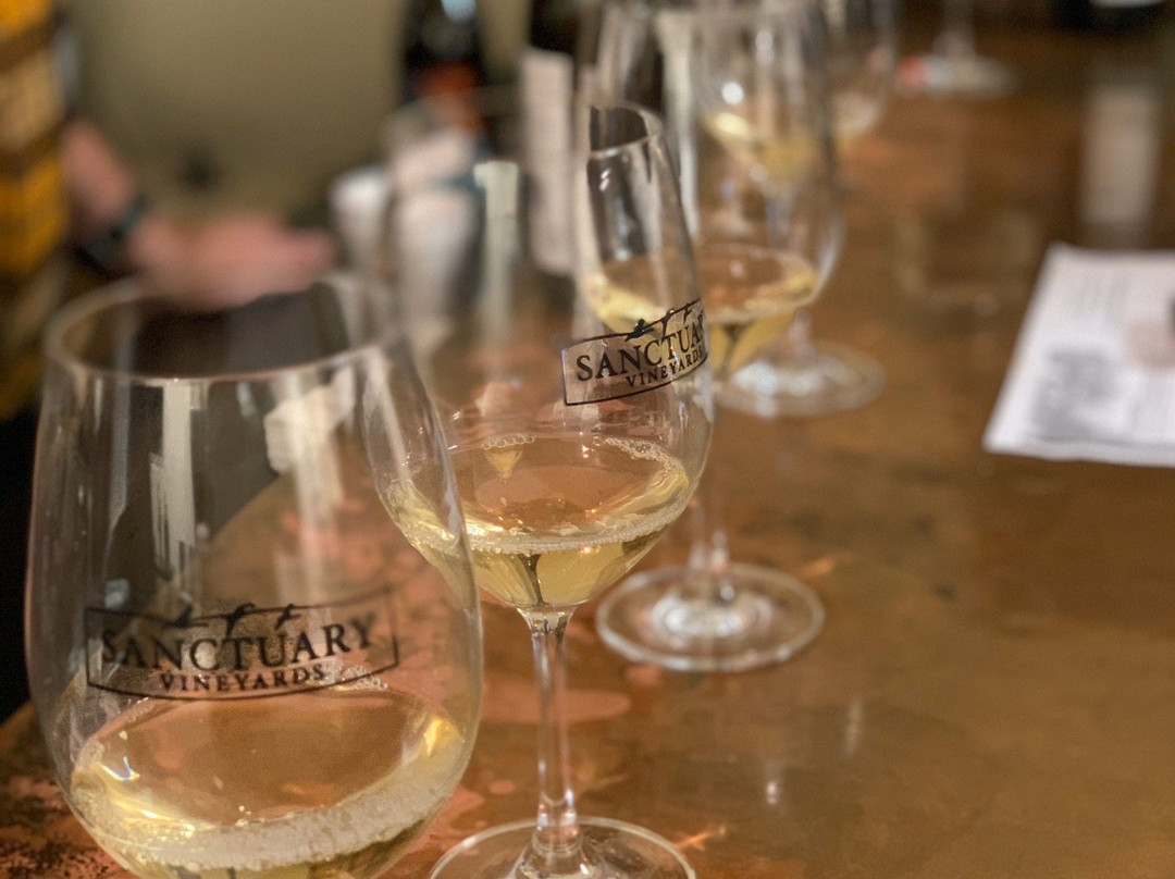 Sanctuary Vineyards-Jarvisburg必去景点