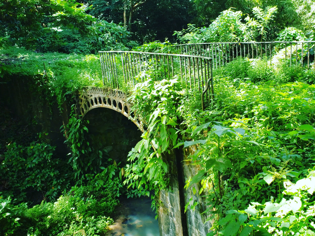 Best Deal Taxi Grenada-St. George's必去景点