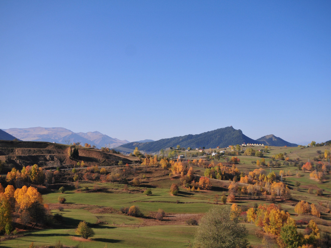 Black Forest Hotel Şavşat主图
