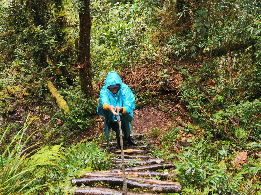 Laguna de los Condores-Leymebamba必去景点