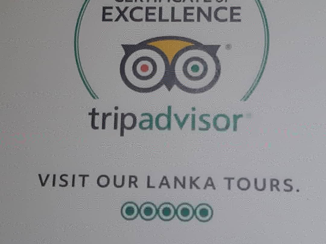 Visit Our Lanka Tours.景点图片