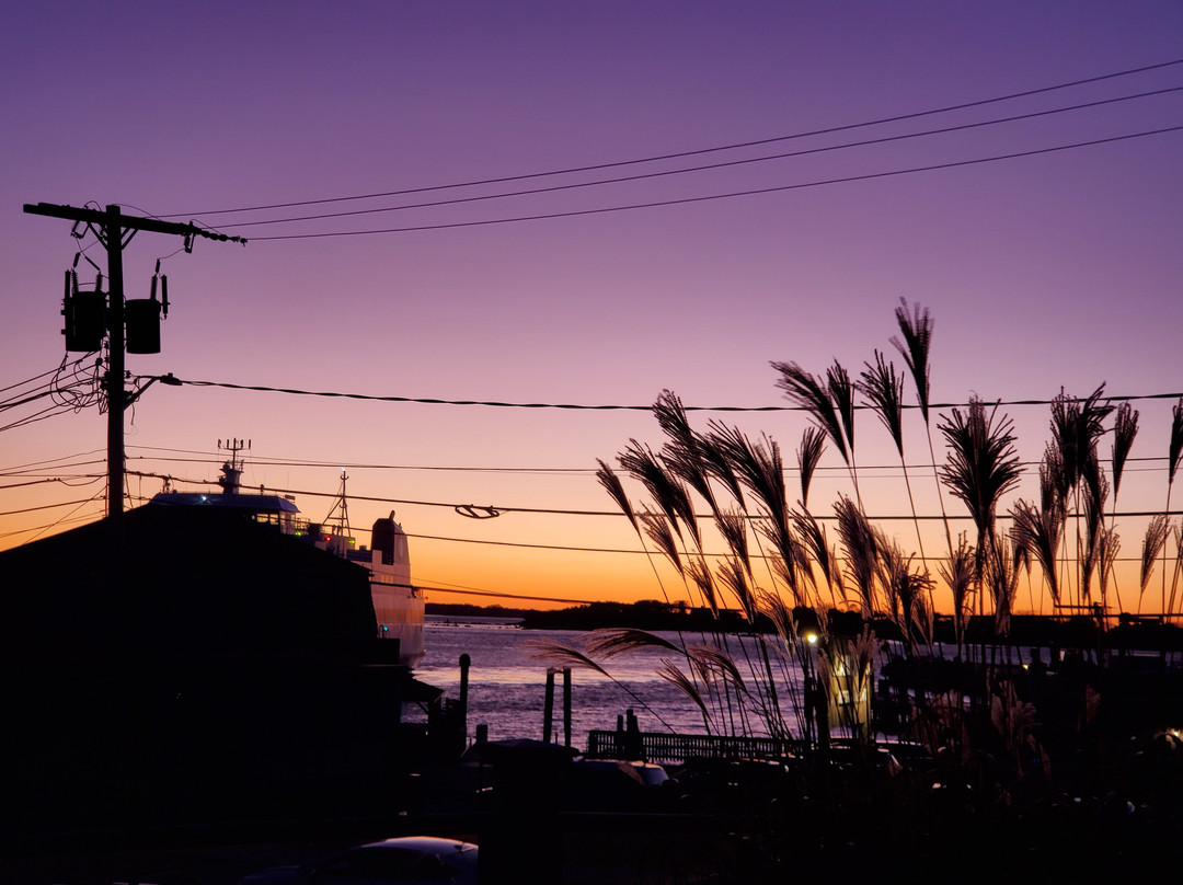 Woods Hole Inn主图