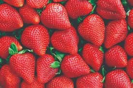 Hafetz Hayim旅游攻略图片