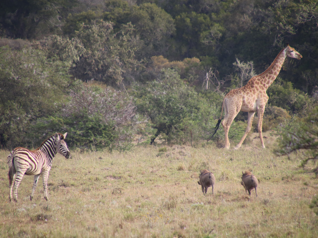 Carnarvon Dale Lodge主图
