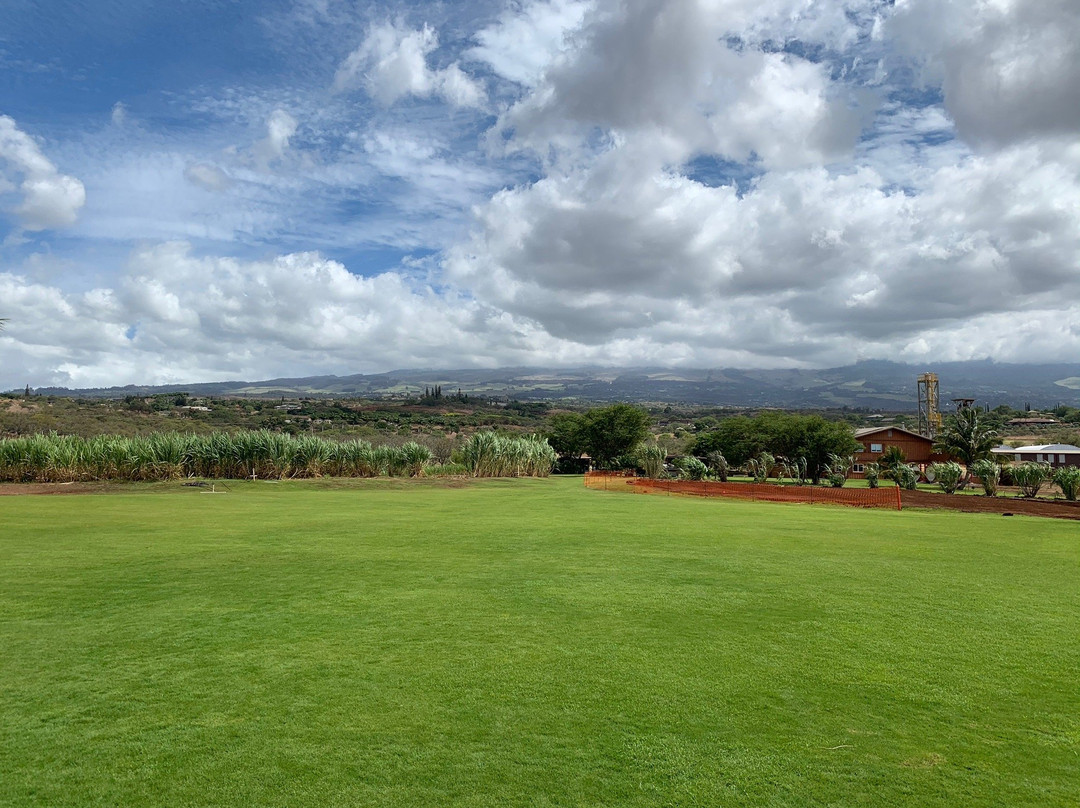 The Ocean Organic Farm and Distillery-库拉必去景点