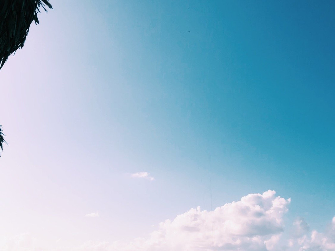 Varadero Kiteboarding-巴拉德罗必去景点